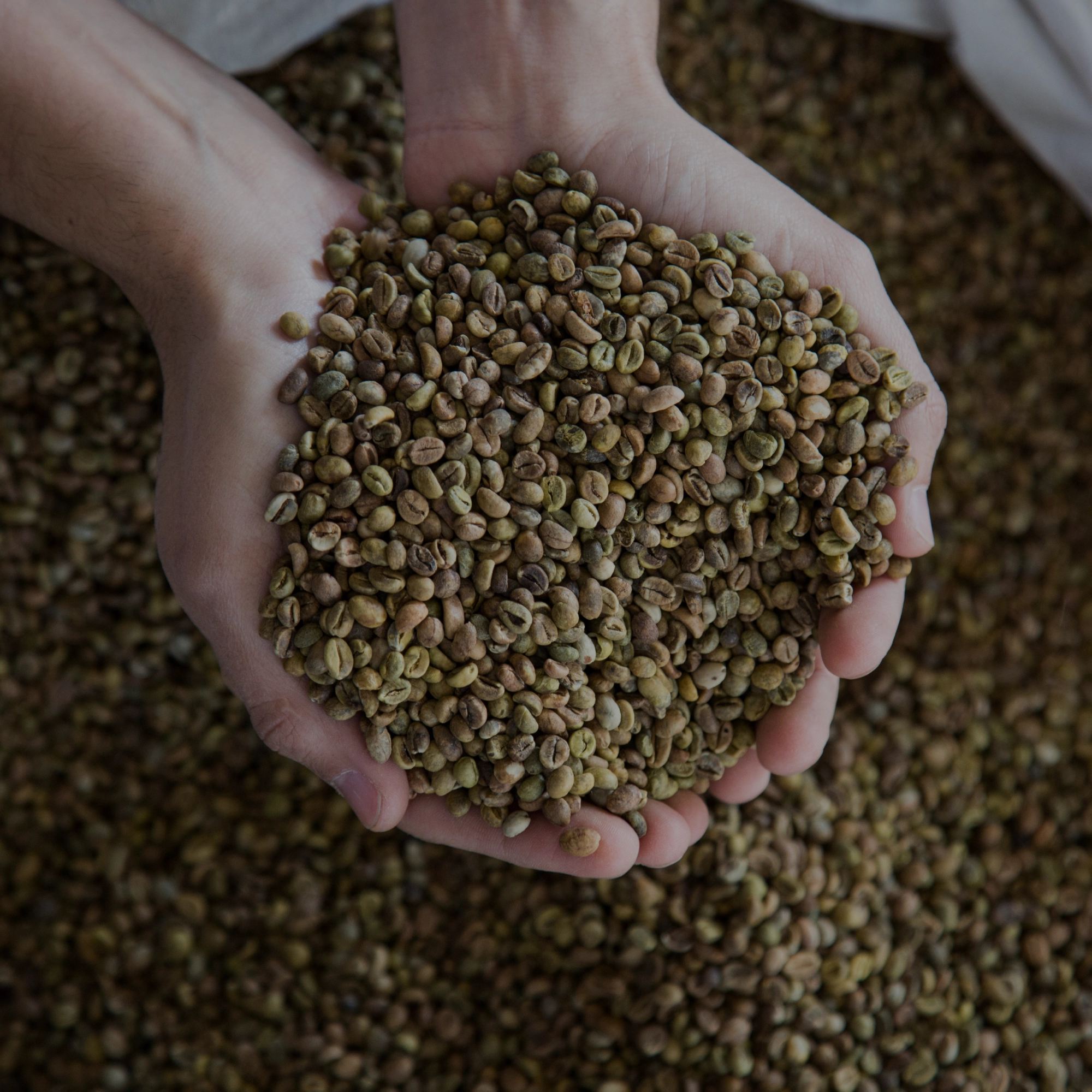 Cuidado de los alimentos